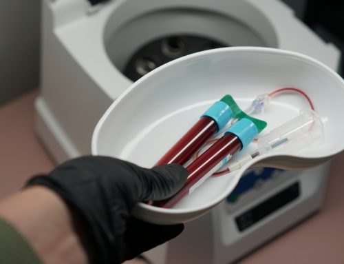 How Fast Can Immune-Mediated Anemia or Low Platelets Become Dangerous in Dogs and Cats?